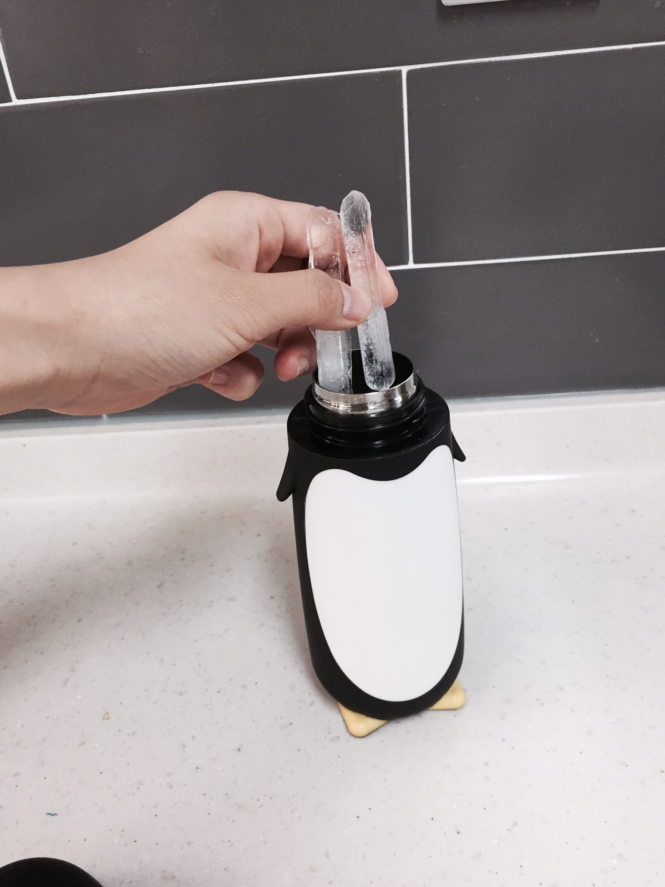 Penguin thermos 280ml cold bottle 4COLOR picnic wa