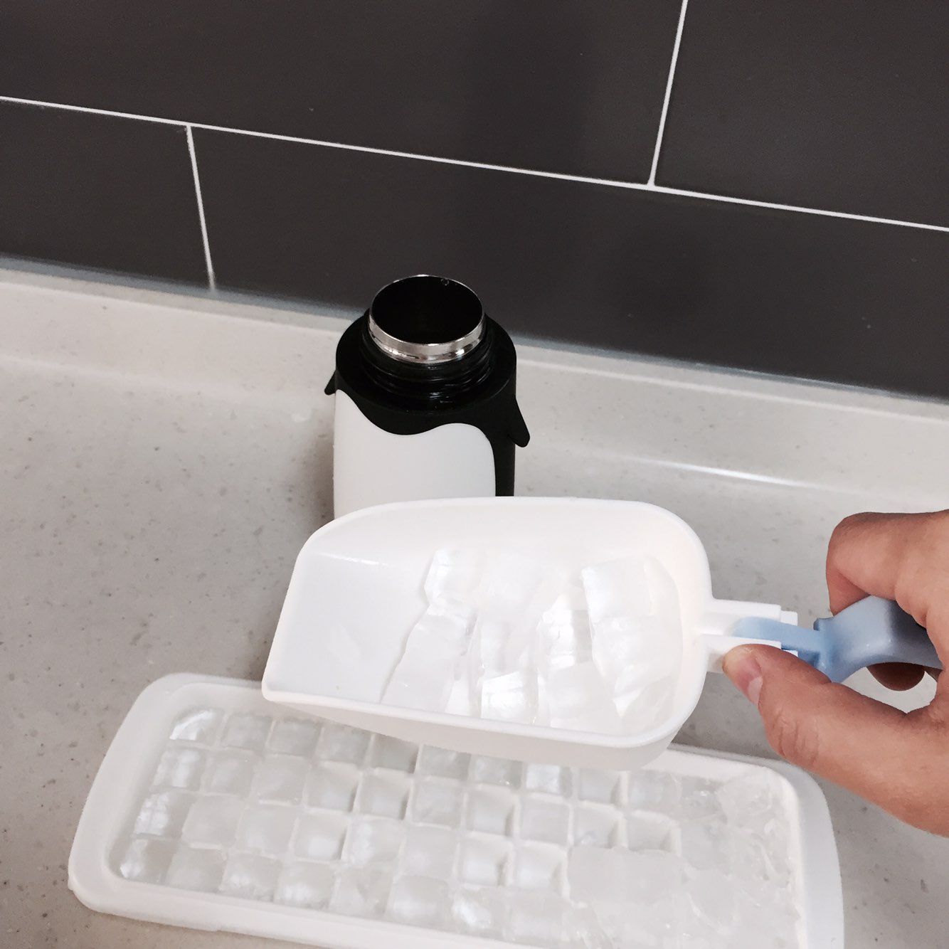 Penguin thermos 280ml cold bottle 4COLOR picnic wa