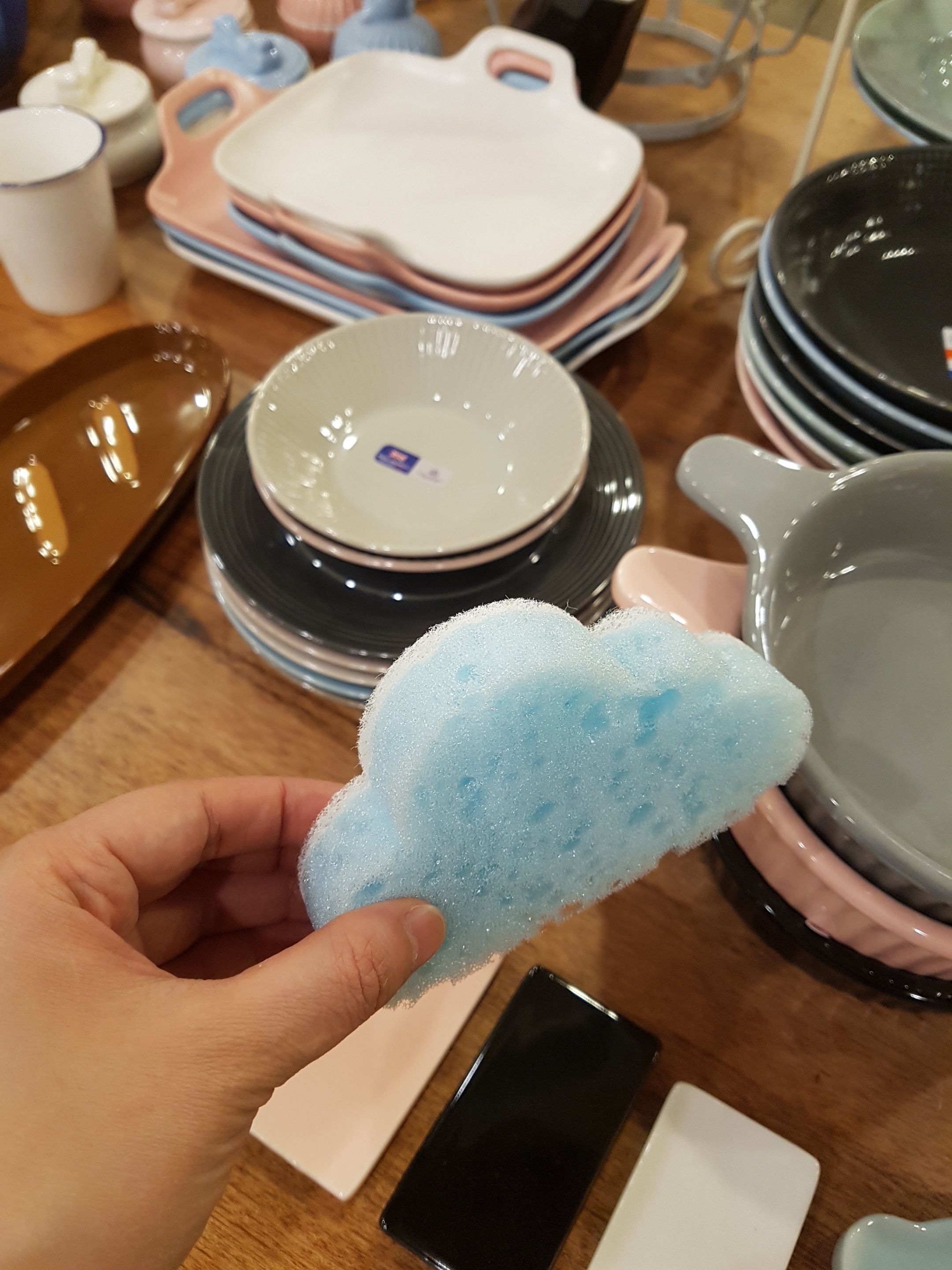 Scrubber Dish Washing Modern kitchen with a soothi