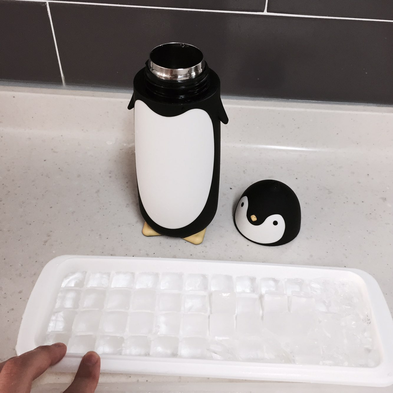 Penguin thermos 280ml cold bottle 4COLOR picnic wa