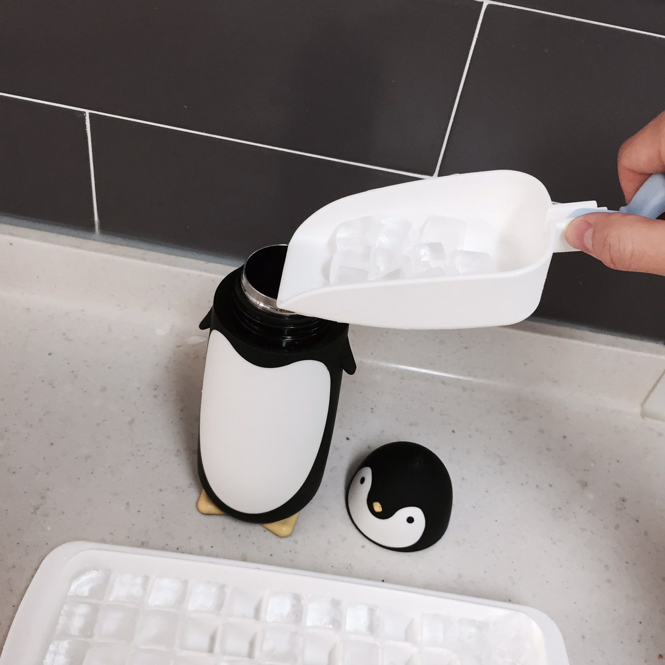 Penguin thermos 280ml cold bottle 4COLOR picnic wa