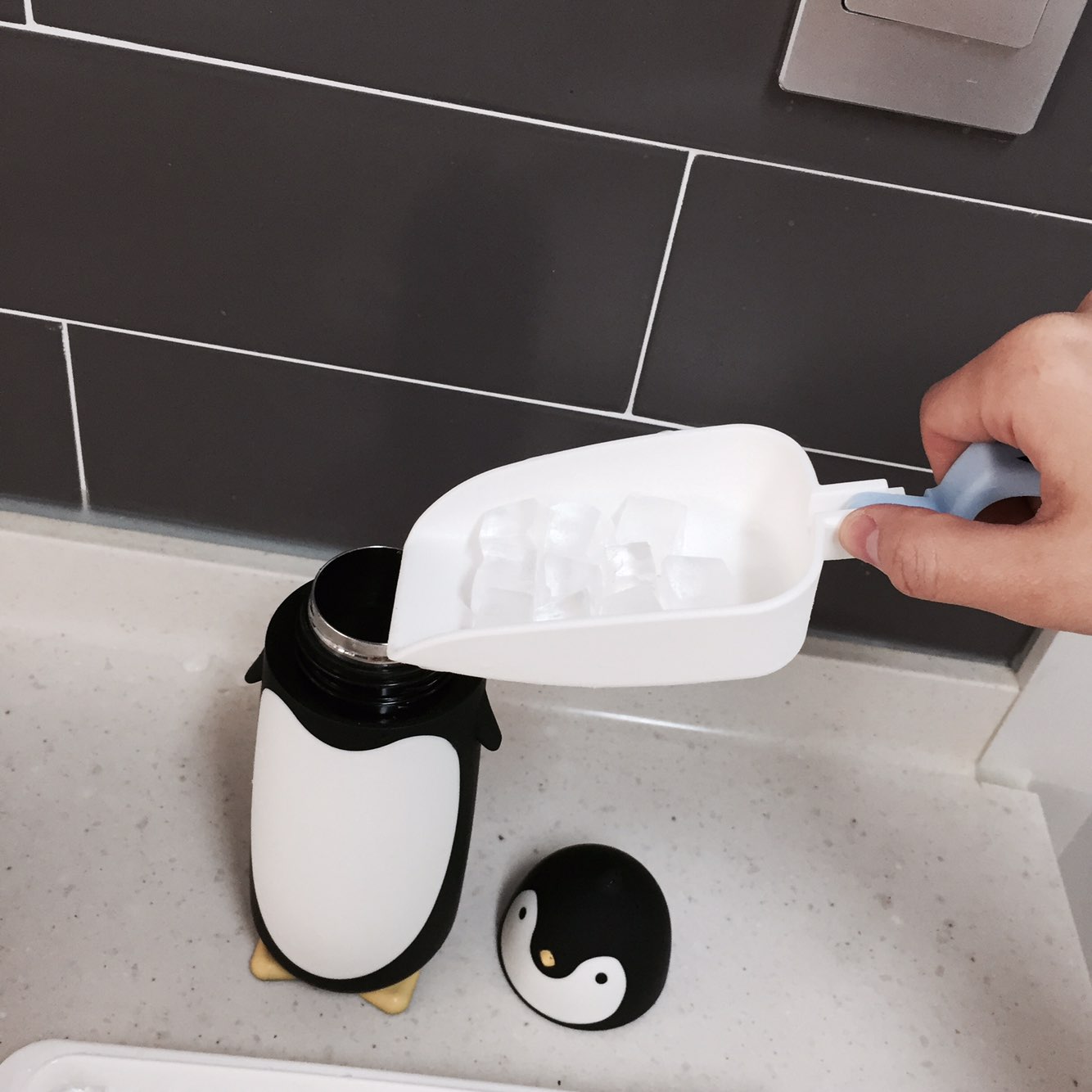 Penguin thermos 280ml cold bottle 4COLOR picnic wa