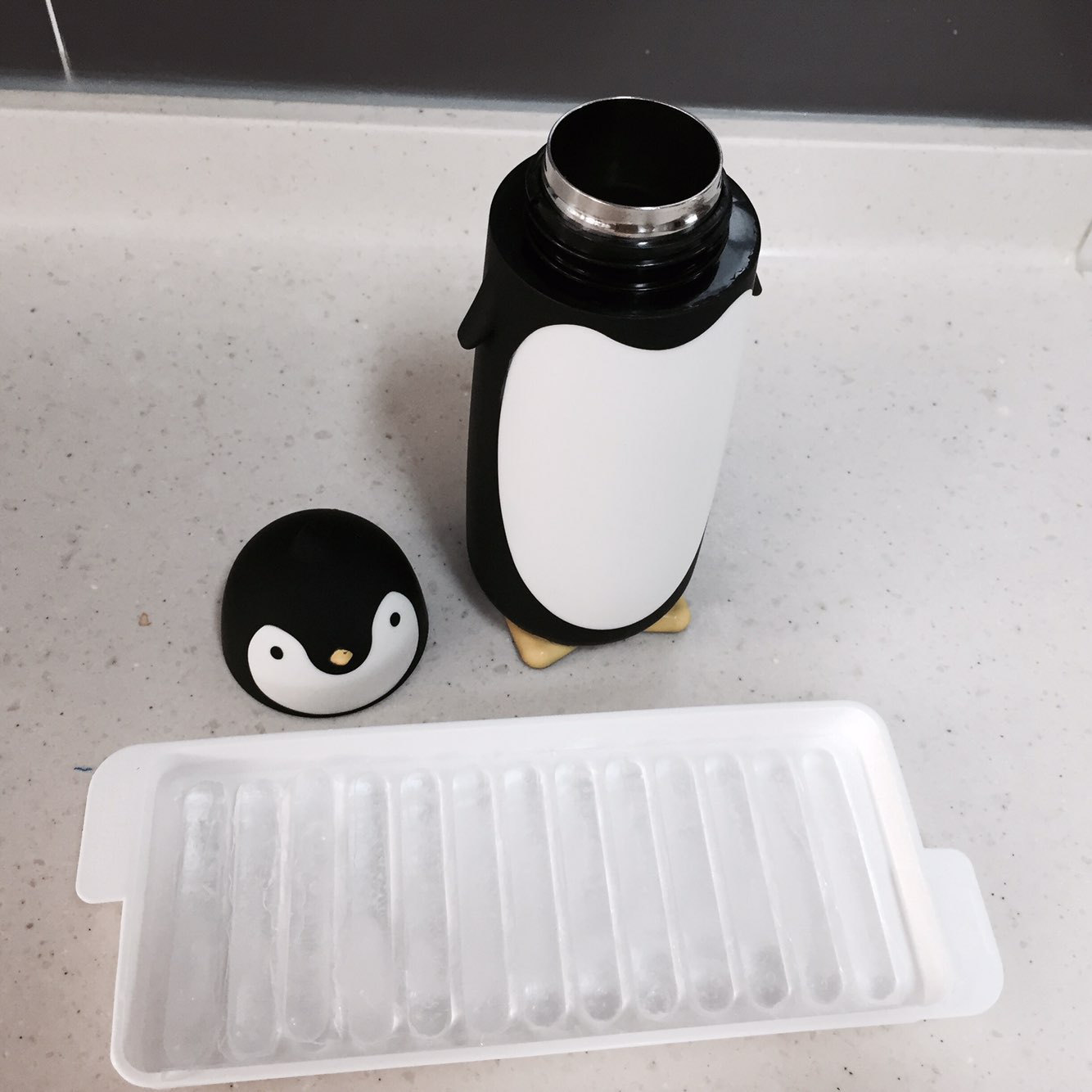 Penguin thermos 280ml cold bottle 4COLOR picnic wa