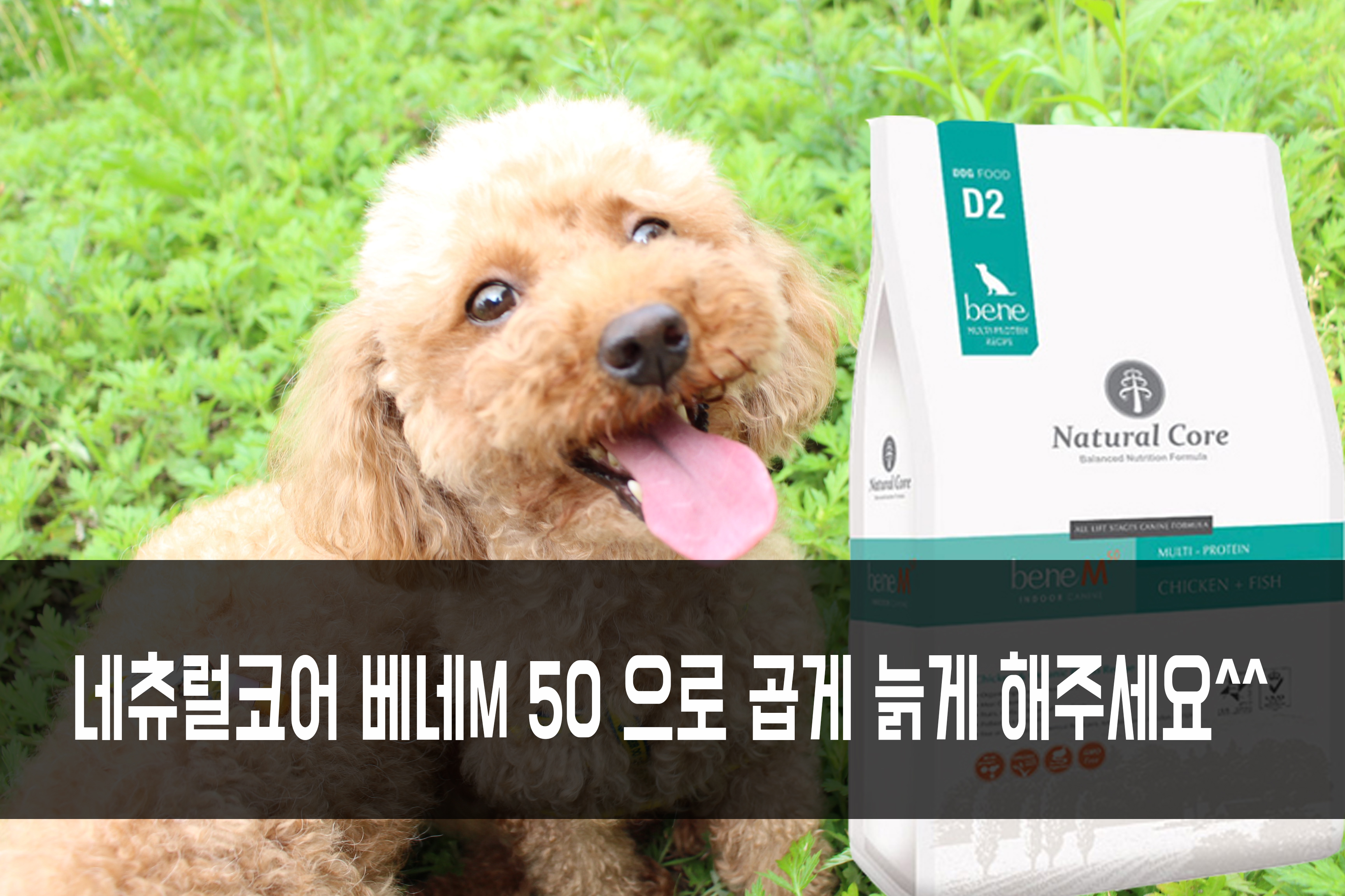 NEW PET DOG FEED BENE M50 10kg Small particle orga