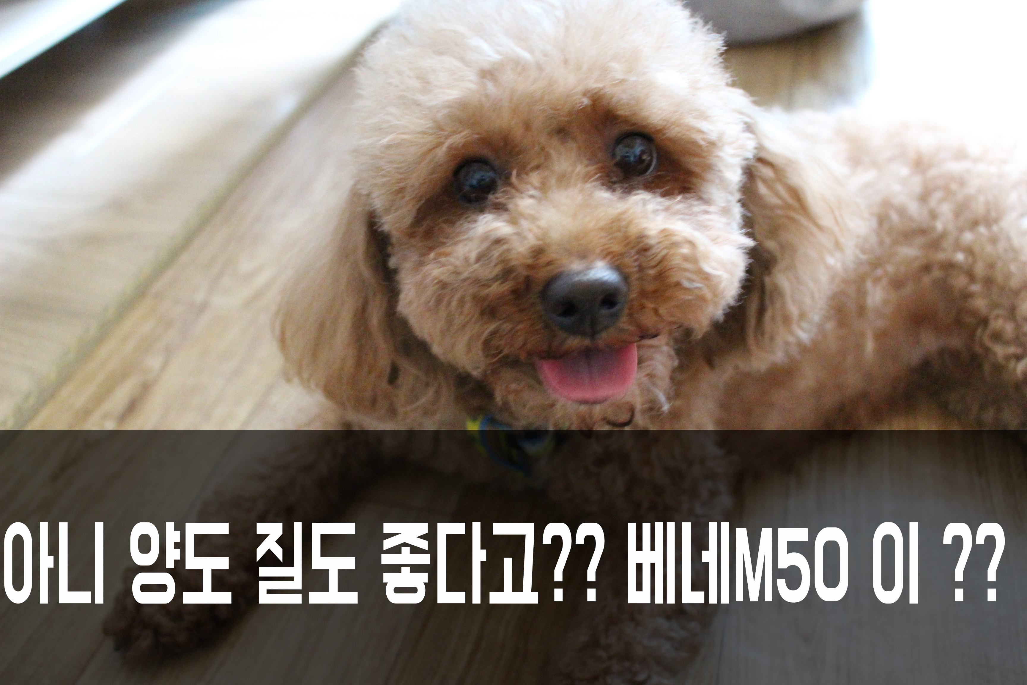 NEW PET DOG FEED BENE M50 10kg Small particle orga