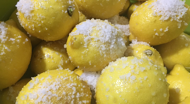 NEW HONEY CITRON TEA Lemon Cheong Organic Sugar