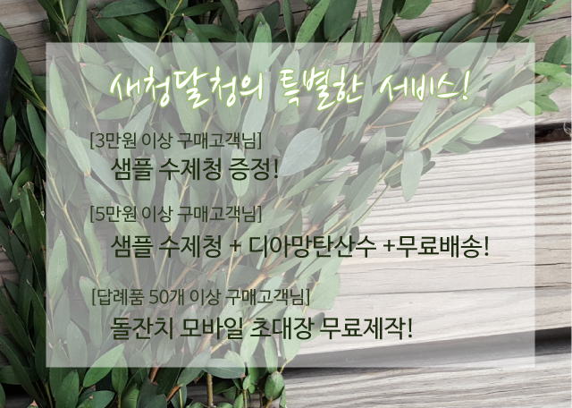 NEW HONEY CITRON TEA Sangcheok Dalcheong Fruit Che