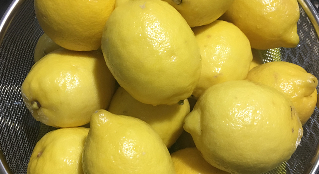 NEW HONEY CITRON TEA Lemon Cheong Organic Sugar