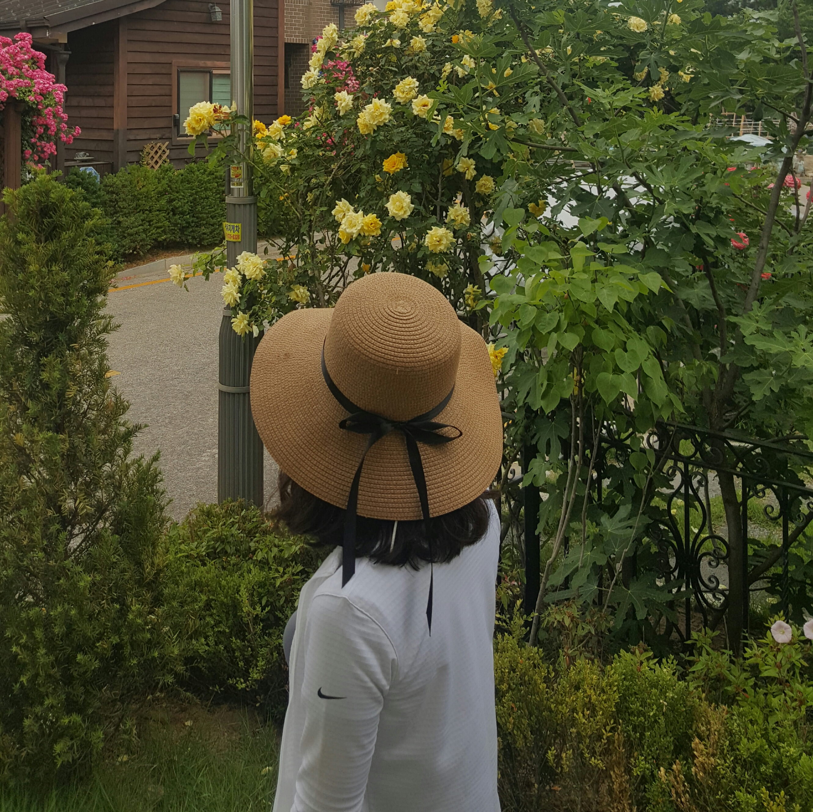 Women Sun Hats Ribbon Hats Straw Hats Scarf Bucket