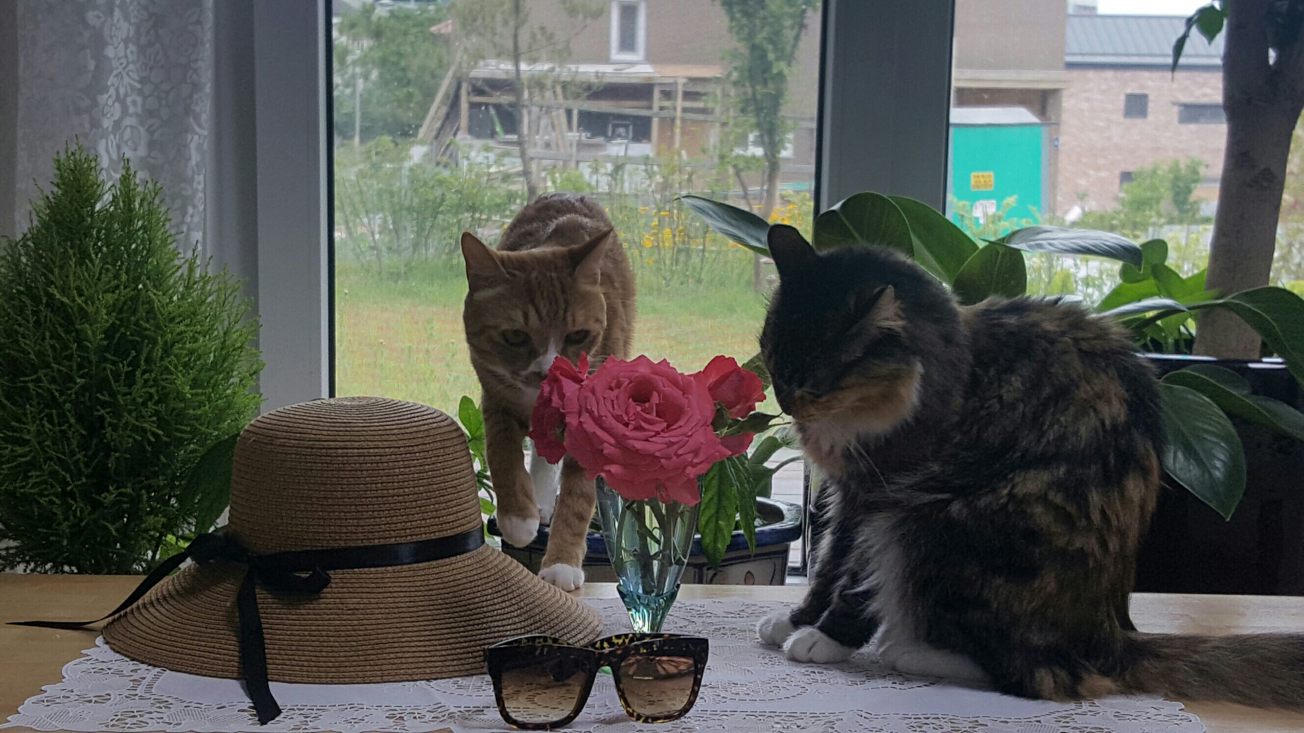 Women Sun Hats Ribbon Hats Straw Hats Scarf Bucket