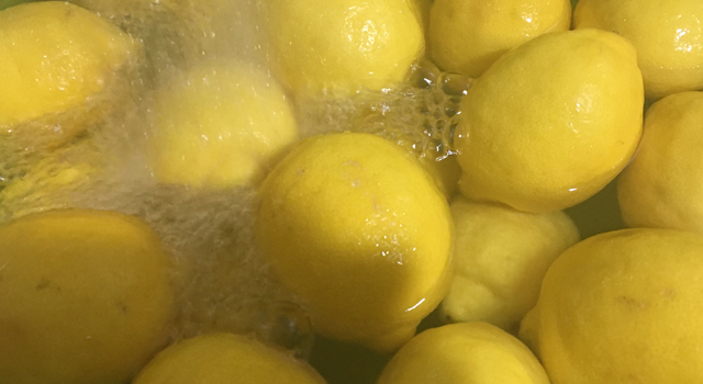 NEW HONEY CITRON TEA Lemon Cheong Organic Sugar