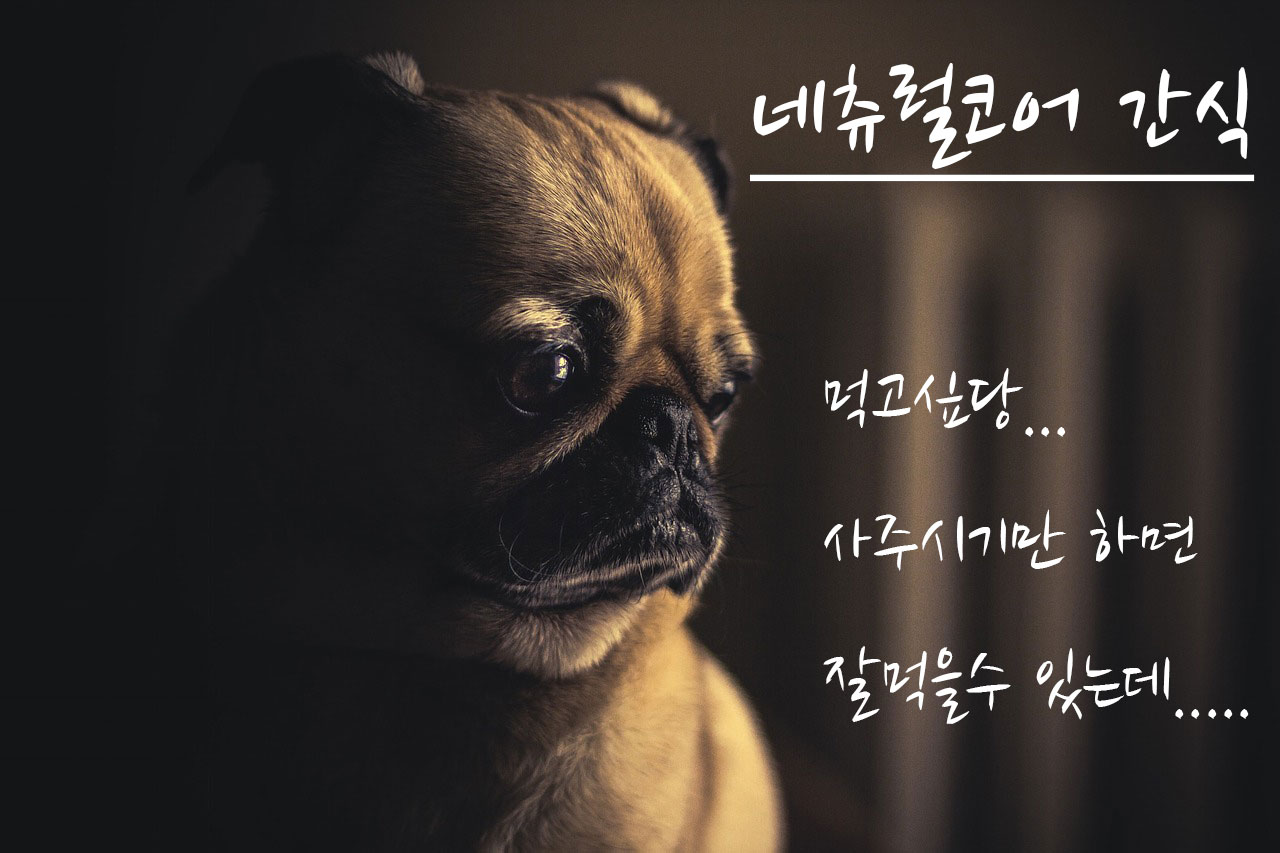 NEW PET DOG FEED Natural Core Echo 5 Puppy 7kg You