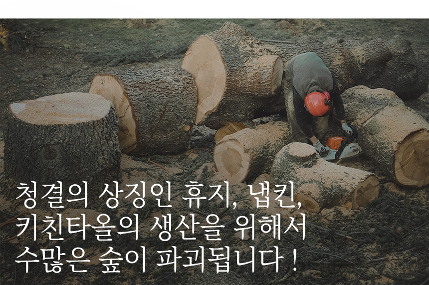 Scrubber Dish Washing One-Kitchen Kitchen Disposab