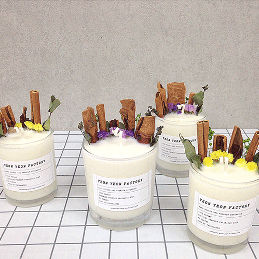 NEW CANDLE Cinnamon So Candle Citronella Eucalyptu