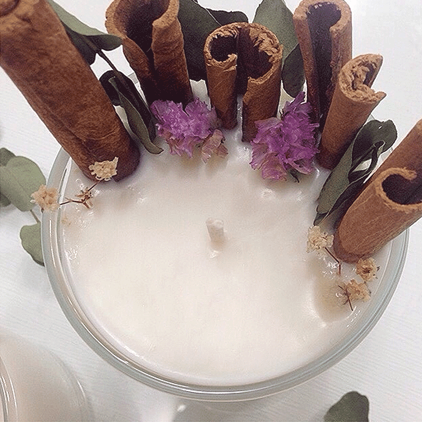 NEW CANDLE Cinnamon So Candle Citronella Eucalyptu