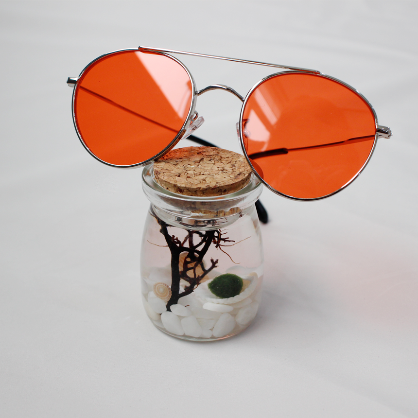 NEW FASHION SUNGLASSES Retro Color Tinted Sunglass