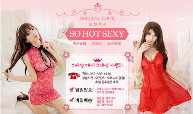 NEW SEXY LINGERIE Japan sexy underwear ear yomi sl