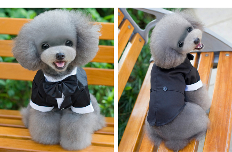 NEW DOG FASHION Puppy suit Tuxedo suit 5 kinds of 