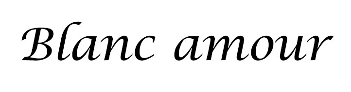 NEW NUBRA nude corset bra Silicone Women's Unde