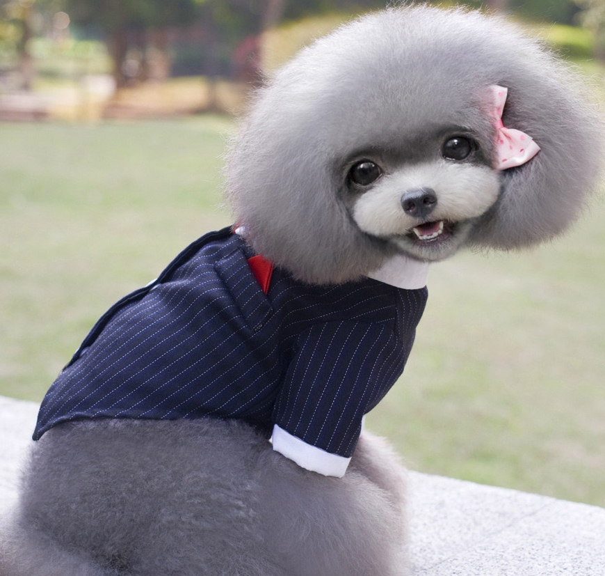 NEW DOG FASHION Puppy suit Tuxedo suit 5 kinds of 