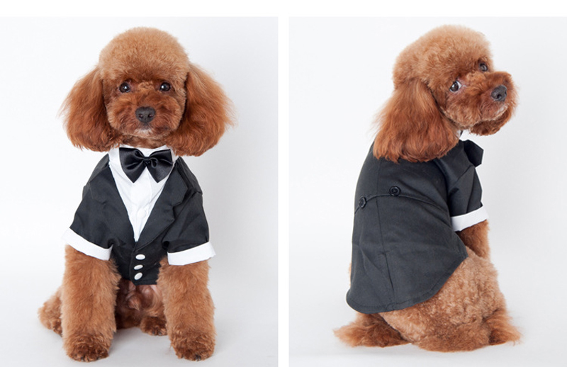 NEW DOG FASHION Puppy suit Tuxedo suit 5 kinds of 