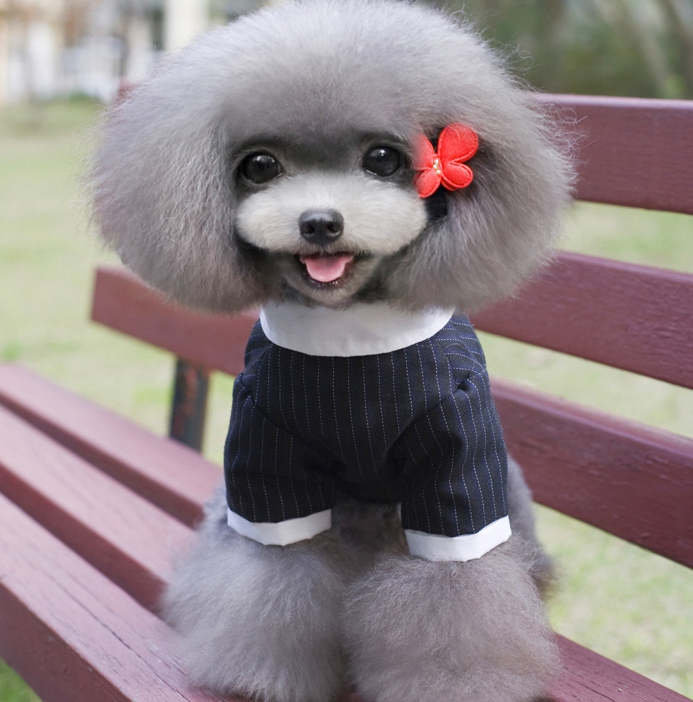 NEW DOG FASHION Puppy suit Tuxedo suit 5 kinds of 