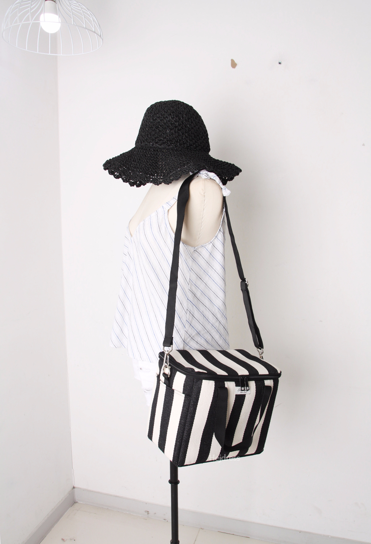 Picnic insulated cold back, medium, large bag Lunc