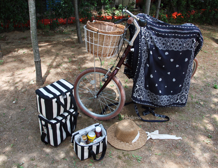 Picnic insulated cold back, medium, large bag Lunc