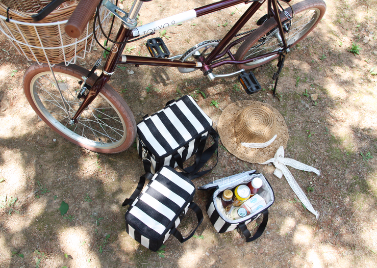 Picnic insulated cold back, medium, large bag Lunc