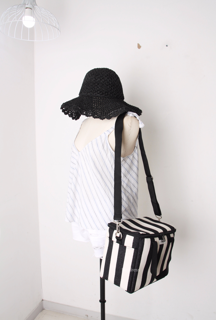 Picnic insulated cold back, medium, large bag Lunc