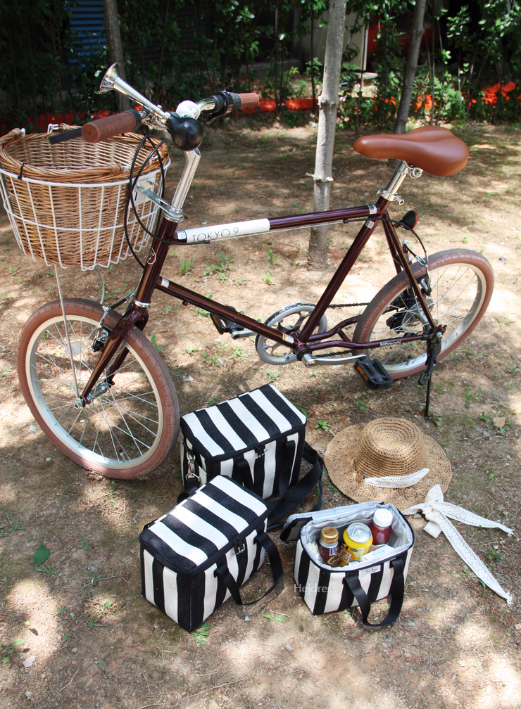 Picnic insulated cold back, medium, large bag Lunc