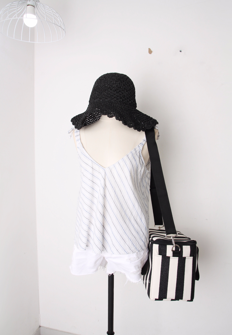 Picnic insulated cold back, medium, large bag Lunc