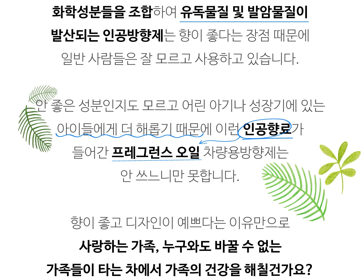 Car Air Freshener Car Phytoncide Natural Fragrance