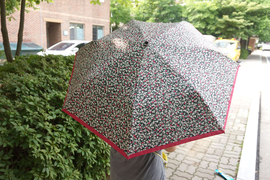 Mini Umbrella Ferns Miniature 5-stage sunscreen Sl