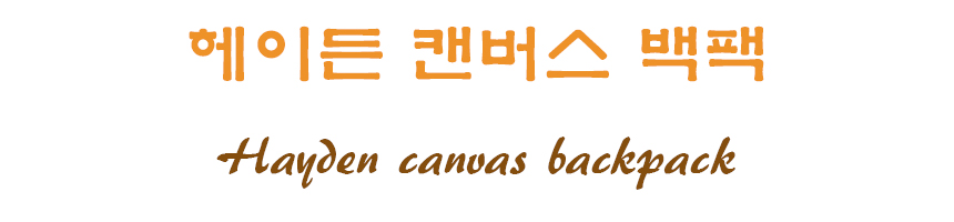 NEW BACKPACK Hayden Canvas Backpack Bag Student St