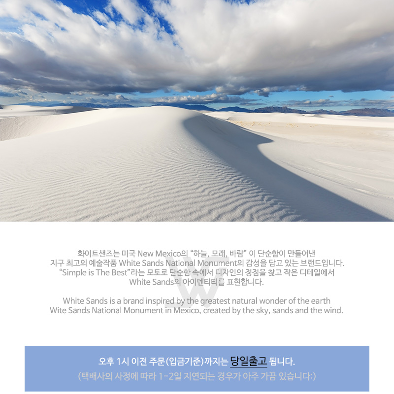 New Hat 화이트샌즈 WHITE SANDS RAFFIA FLORENCE