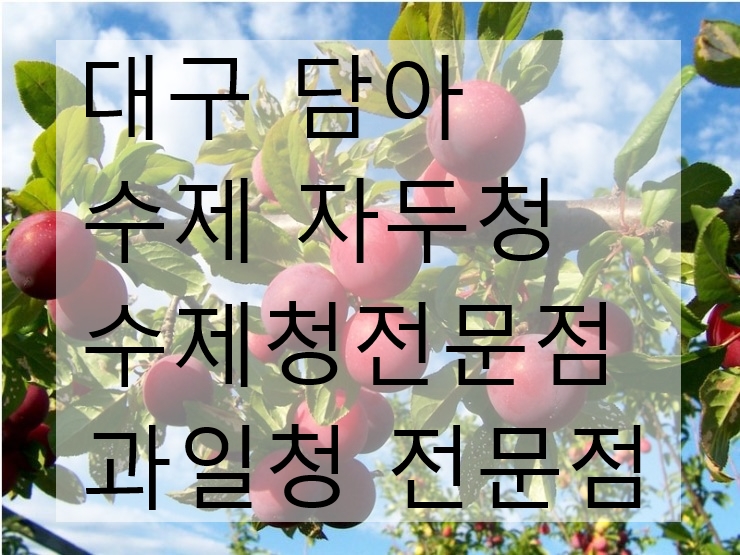 NEW HONEY CITRON TEA CHICKEN  Home-made fruit