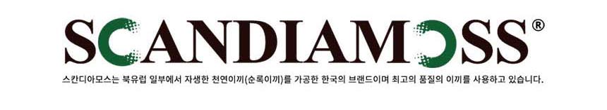 Alvin Design Scandia Moss interior wall clock 7 co