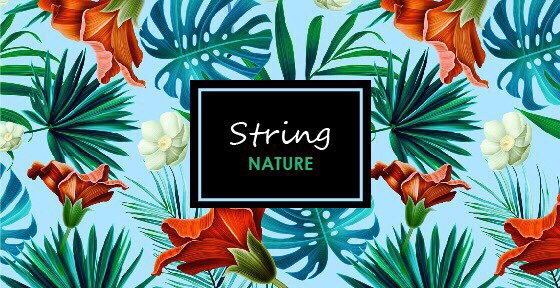 New Surge Steel Steel Bracelet Women Daily Custom 