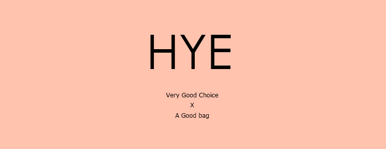 New HYEMADE mini tote cross buckle bag 3C bag