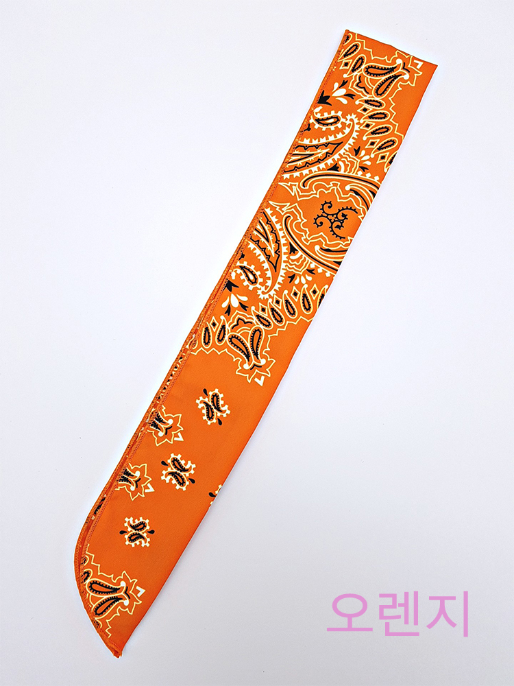 Hair Accessories Paisley Bandana Wire Hair Band He