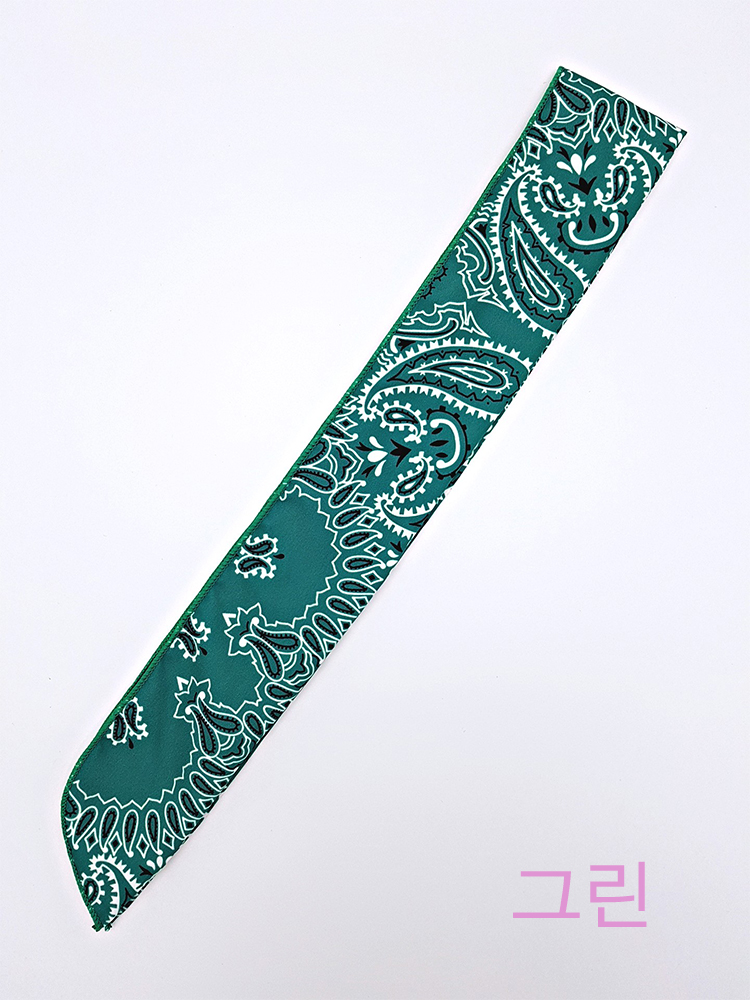 Hair Accessories Paisley Bandana Wire Hair Band He