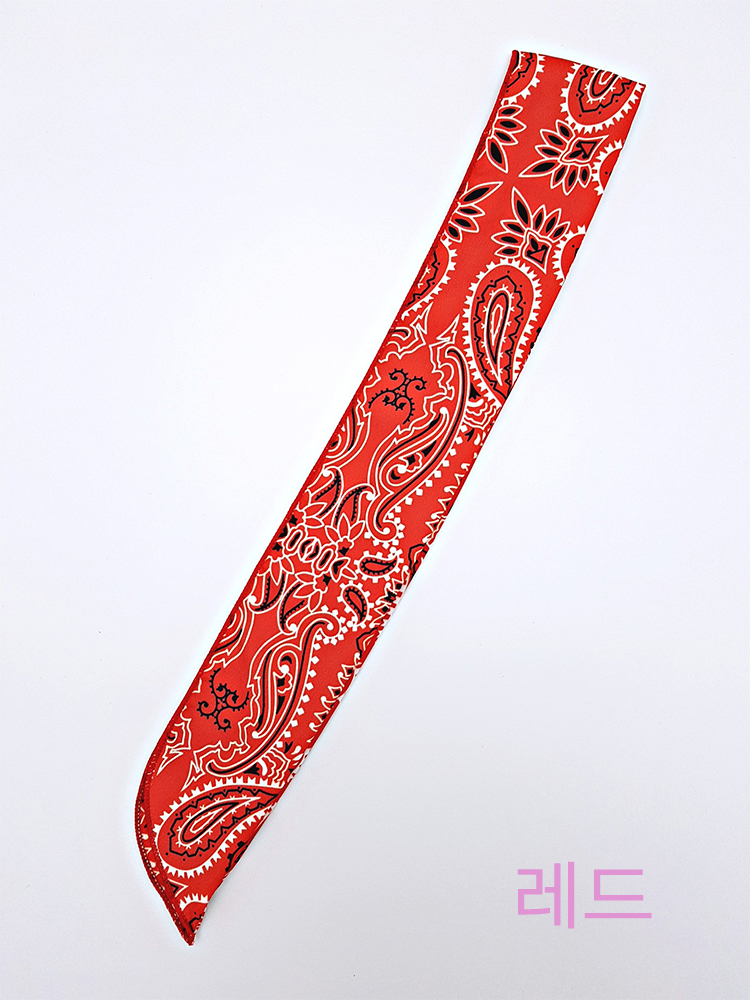Hair Accessories Paisley Bandana Wire Hair Band He