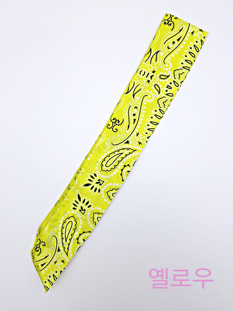 Hair Accessories Paisley Bandana Wire Hair Band He