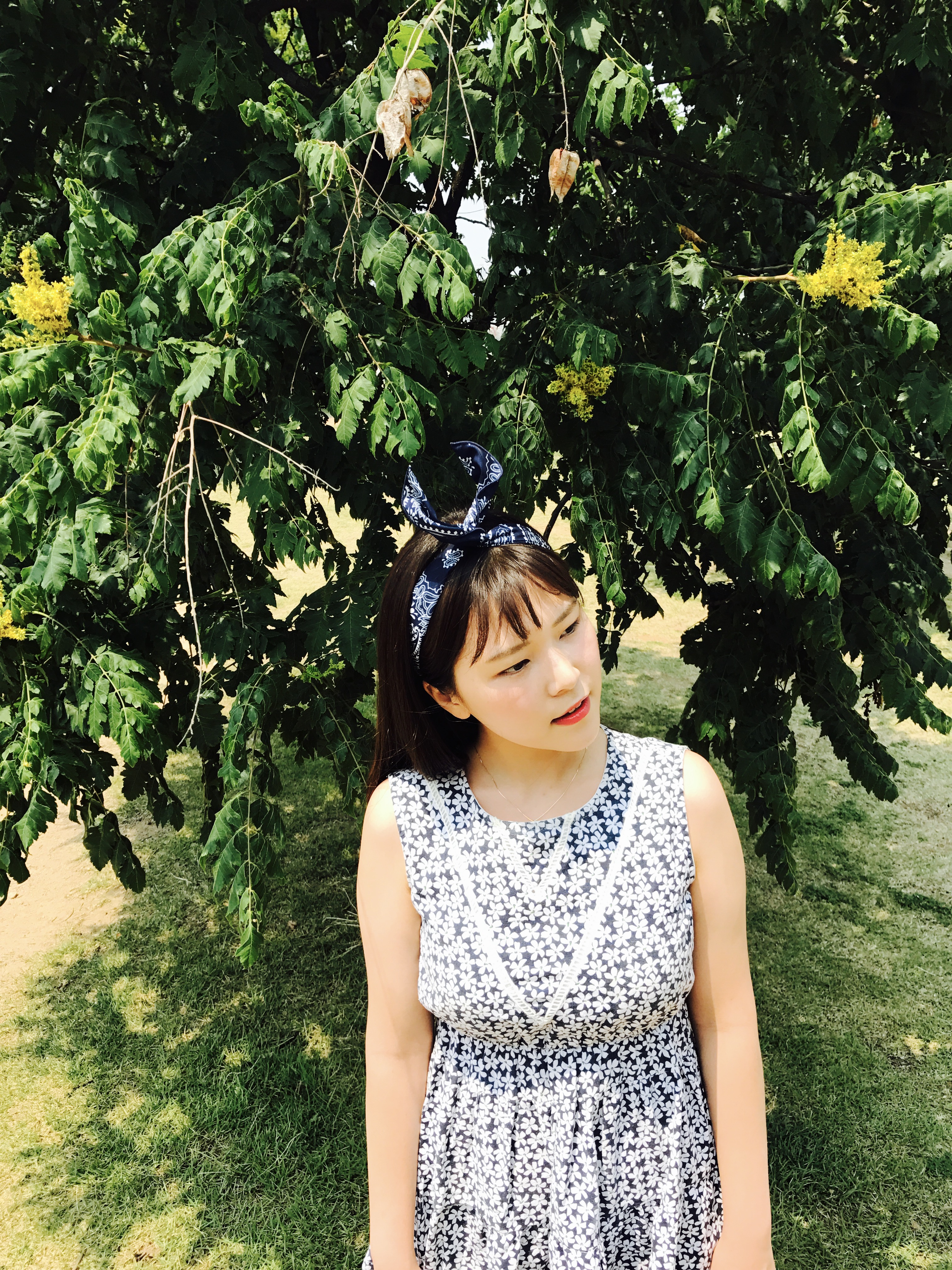 Hair Accessories Paisley Bandana Wire Hair Band He