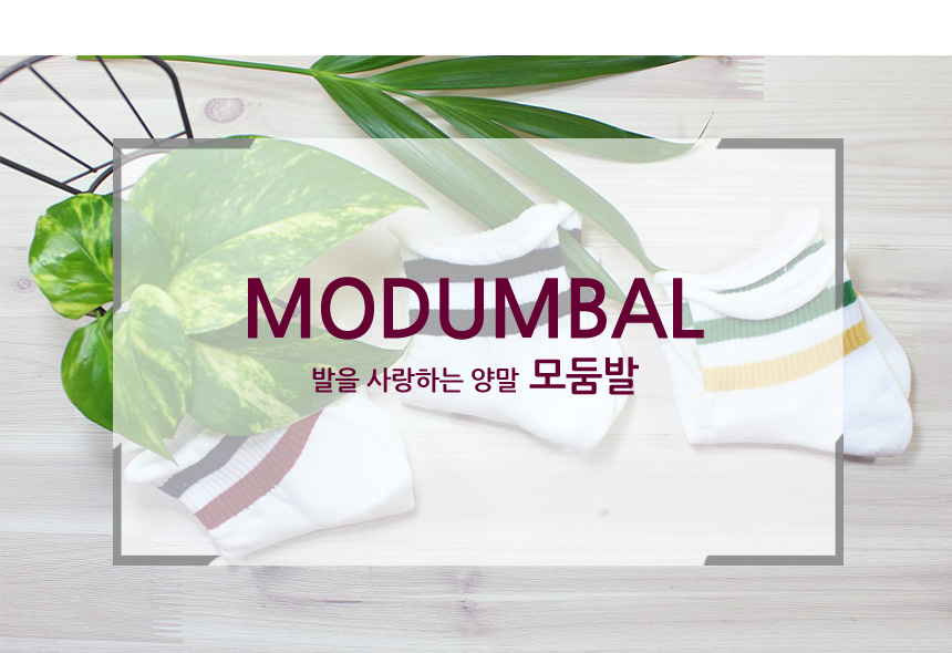 NEW SOCKS COLLECTION Student Character