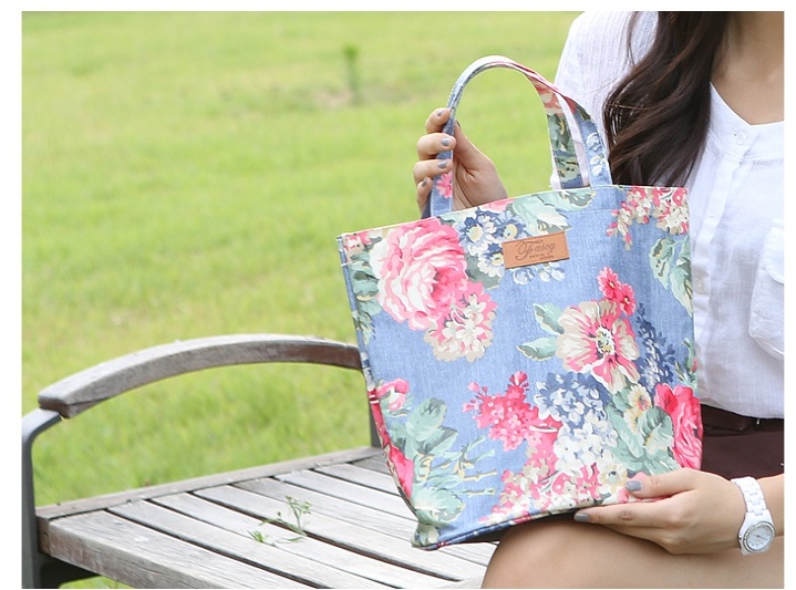 Cooler Bag Insulated Lunch Bag Mini Bag Ice Cream 