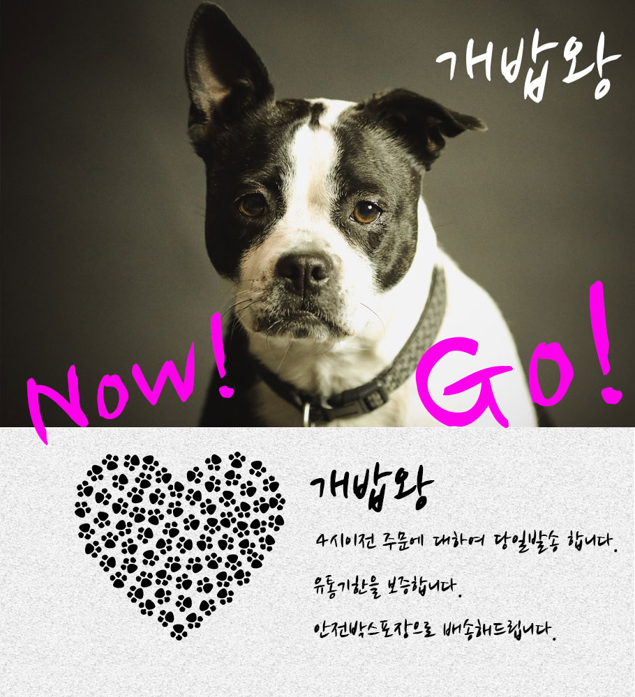 NEW PET DOG FEED NOW FEED ADULT 5.4kg GRAIN FREE S