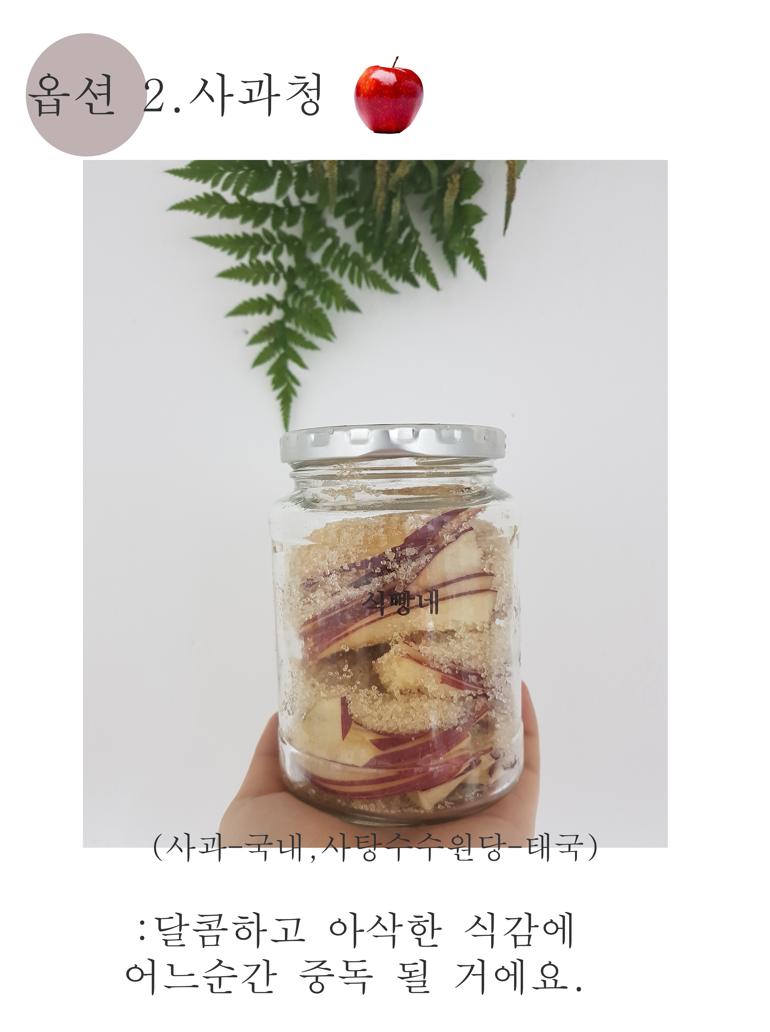 NEW HONEY CITRON TEA handmade fruit Cream Grapefru