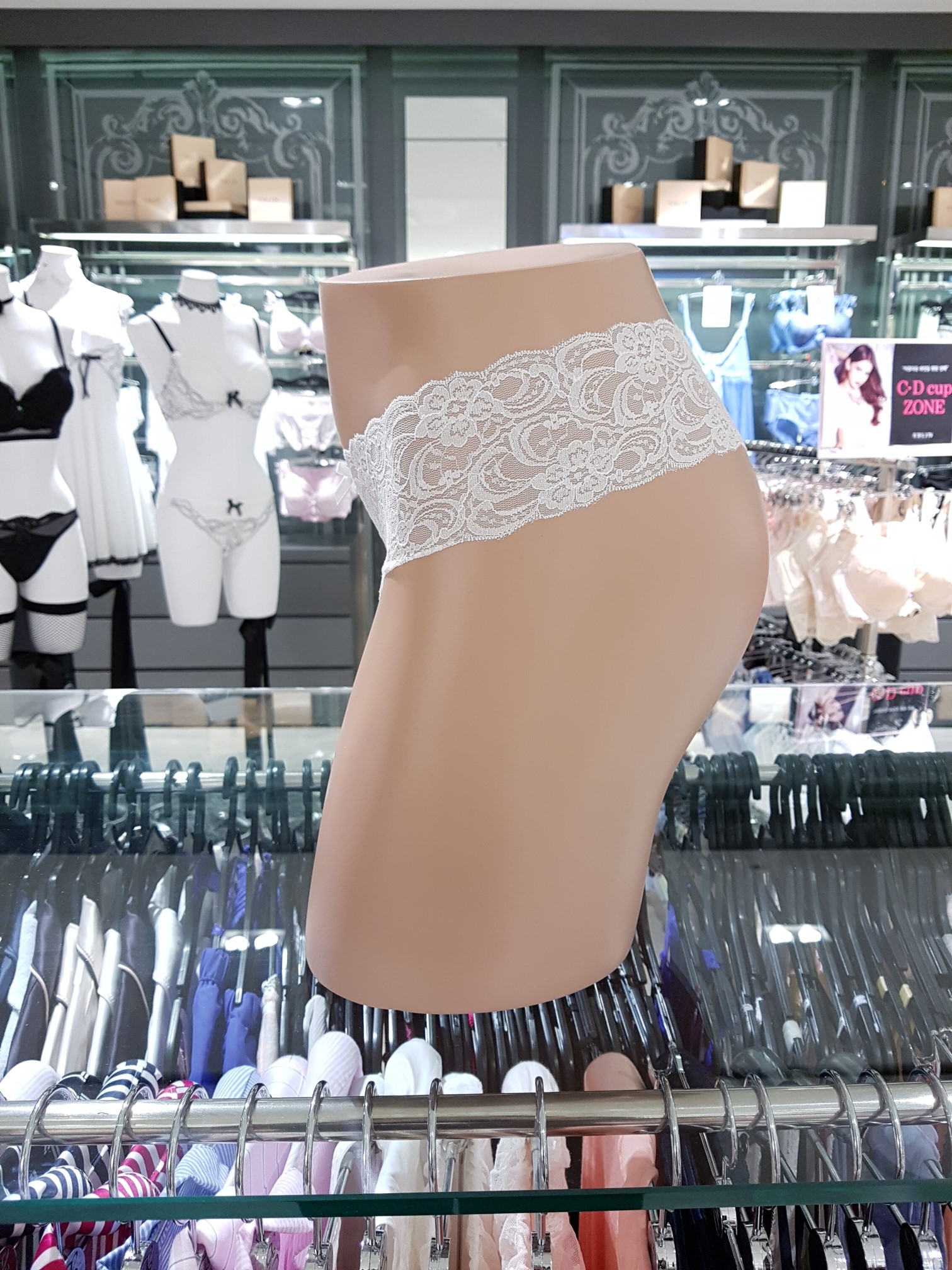 Women Underwear Basic all-round panties WP6A1016 u